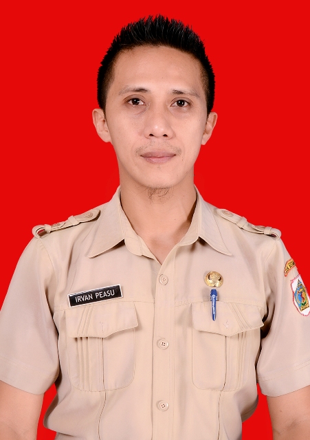 IRVAN PEASU